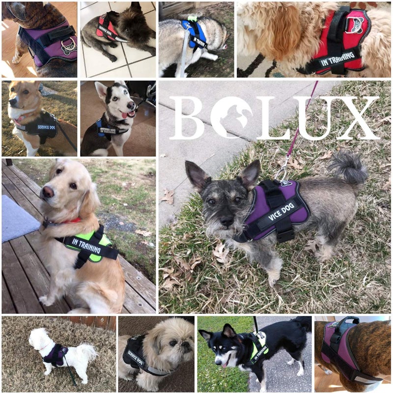 Bolux Dog Harness, No-Pull Reflective Dog Vest, Breathable Adjustable Pet Harness with Handle for Outdoor Walking - No More Pulling, Tugging or Choking (Purple, M) - Image 5